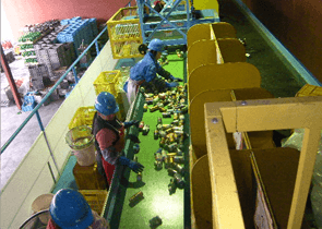 ビン処理フロー